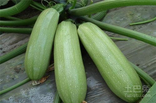 吃瓜xz.887,一场网络热议背后的真相