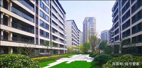 杭州楼市扫码吃瓜