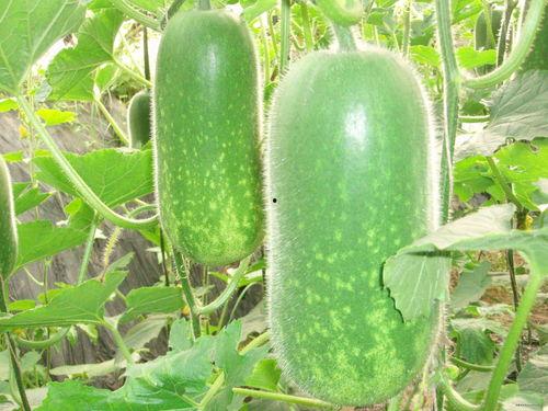 400亿吃瓜指南,揭秘娱乐圈幕后真相