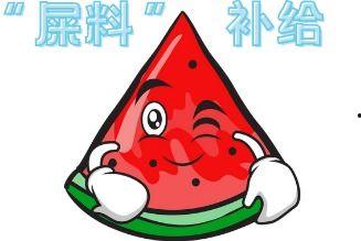 大型吃瓜现场摆摊,街头摆摊盛宴，全民围观狂欢