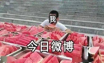 吃瓜大赛相亲,一场别开生面的相亲盛宴