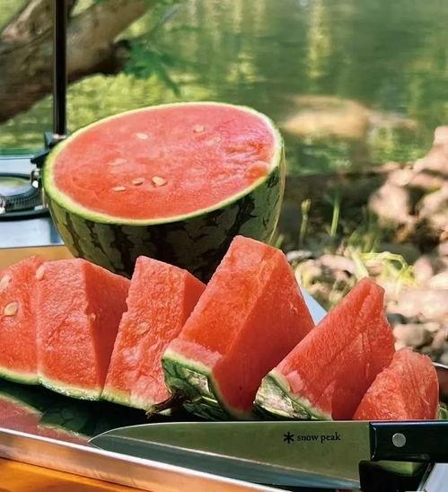 吃瓜安全小知识,安全小知识，轻松享受清凉一夏